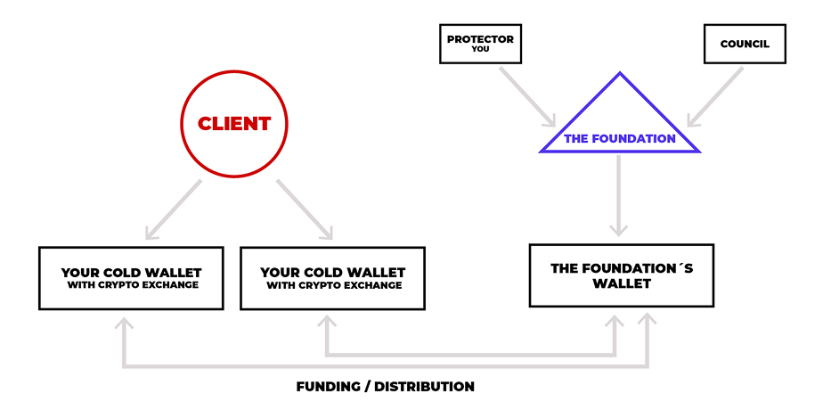 DSP structure: the Client funds wallets connected to a Panama Private Interest Foundation governed by the Protector (you) and the Council.